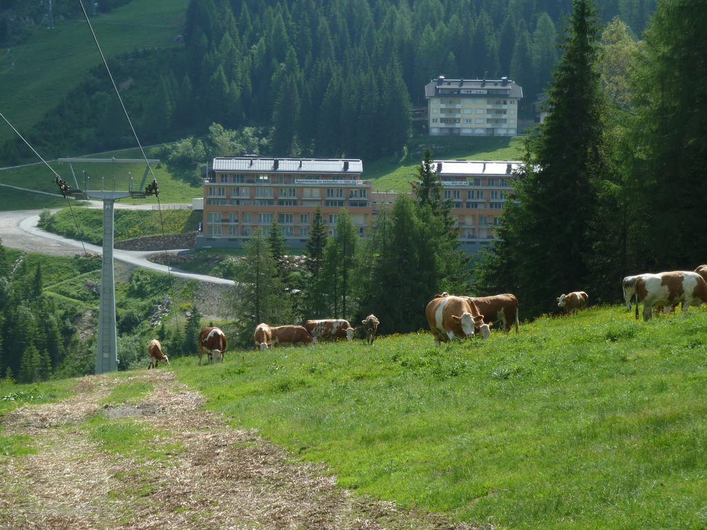 Appartementhaus Ckpk Sonnenalpe Nassfeld Dış mekan fotoğraf
